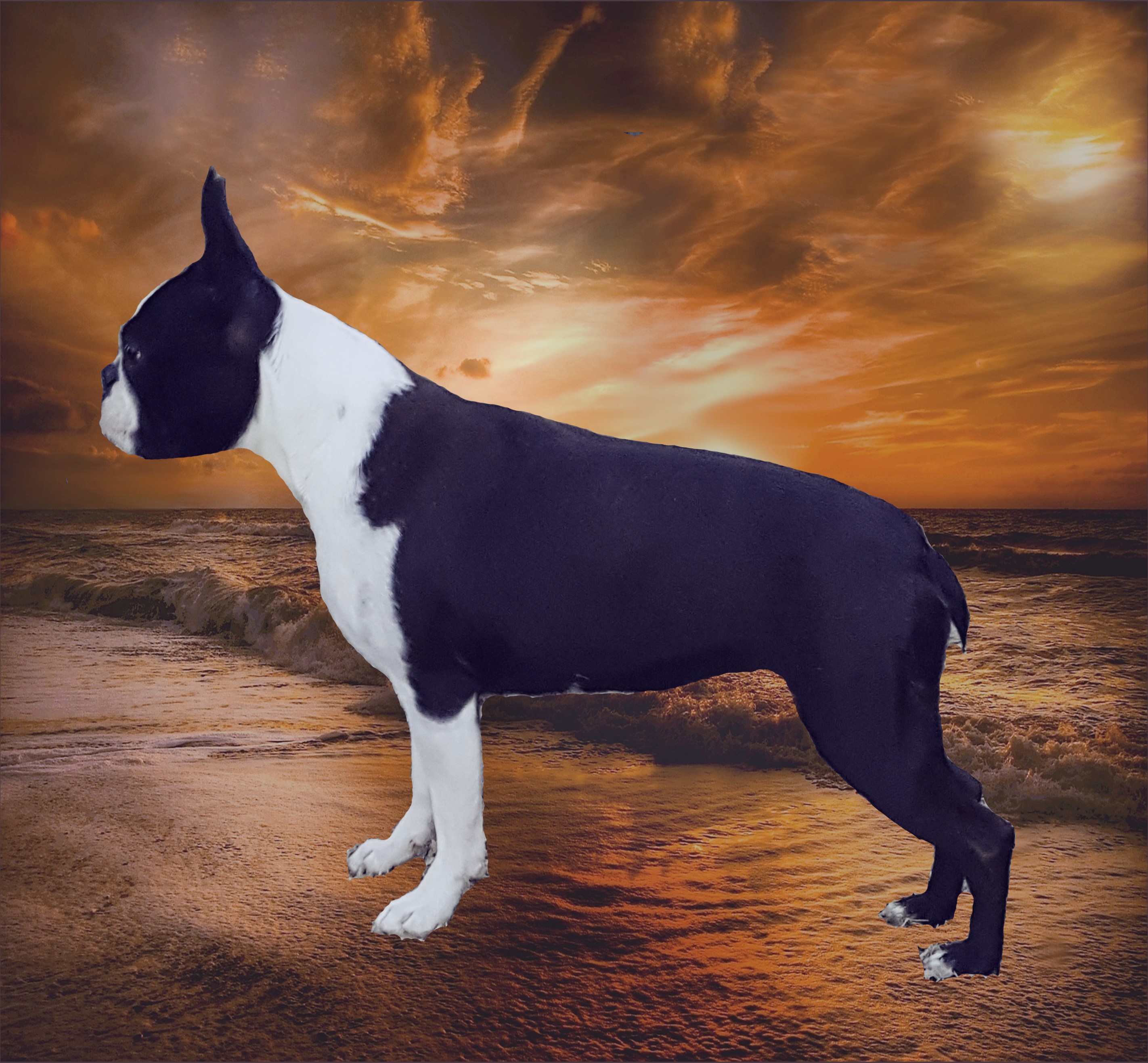 Lagertha De la légende des nymphes bleues